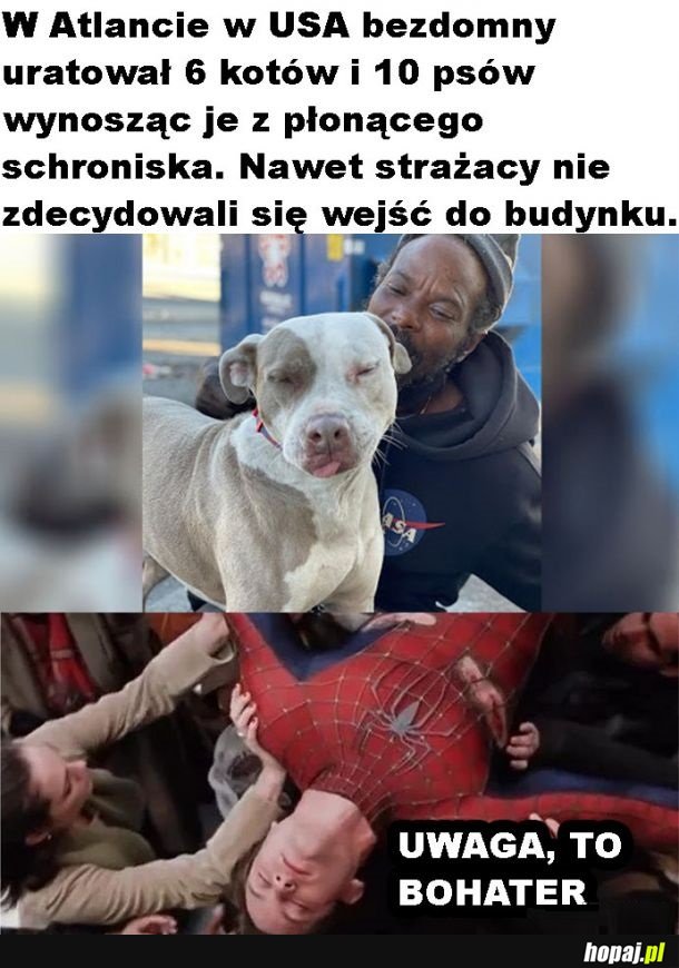 Bohater