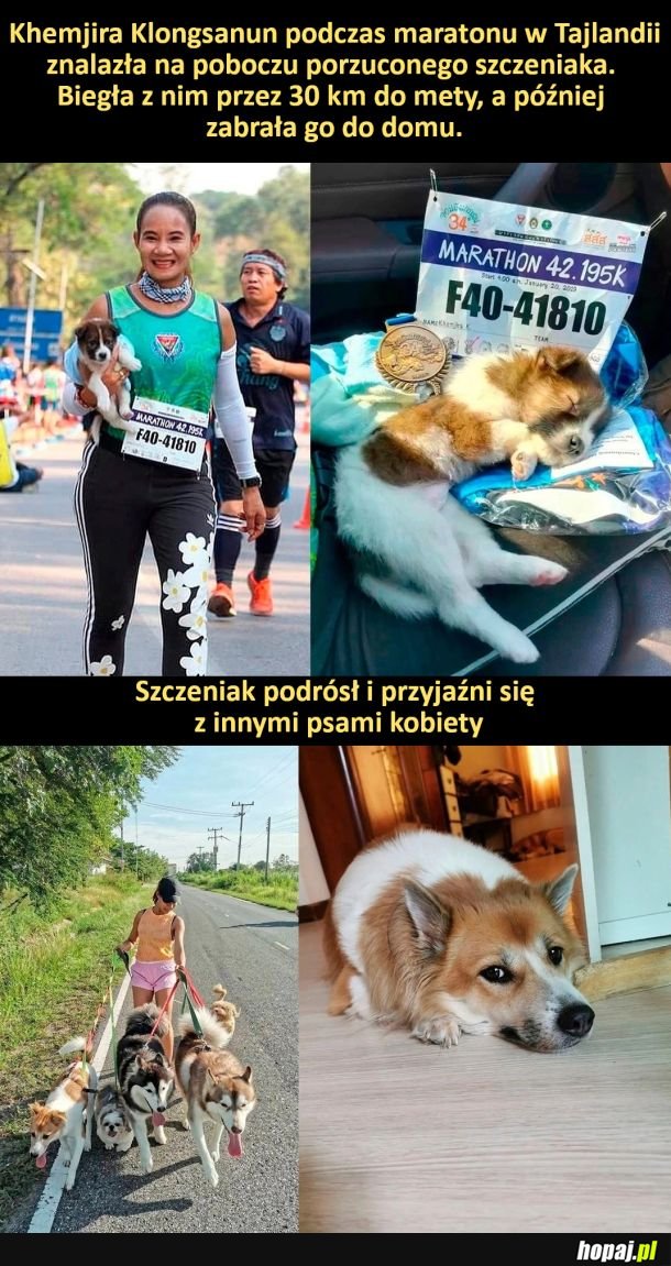 Khemjira Klongsanun podczas maratonu w Tajlandii znalazła na poboczu porzuconego szczeniak