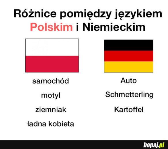 RÓŻNICE W JĘZYKACH