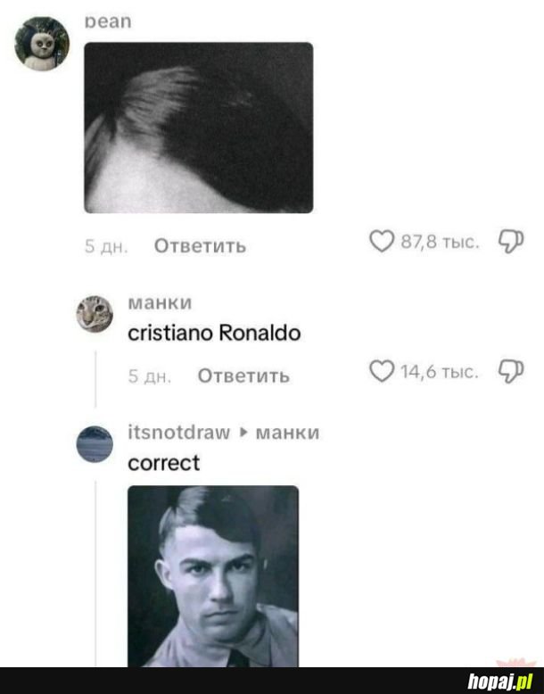 Czyja to fryzura?