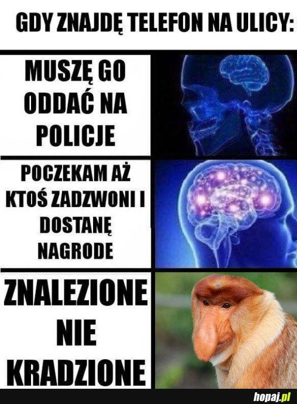 ZGUBNIONY TELEFON
