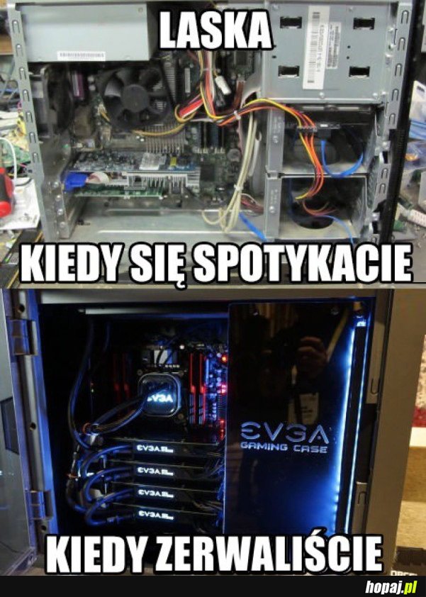 LASKI TAKIE SĄ