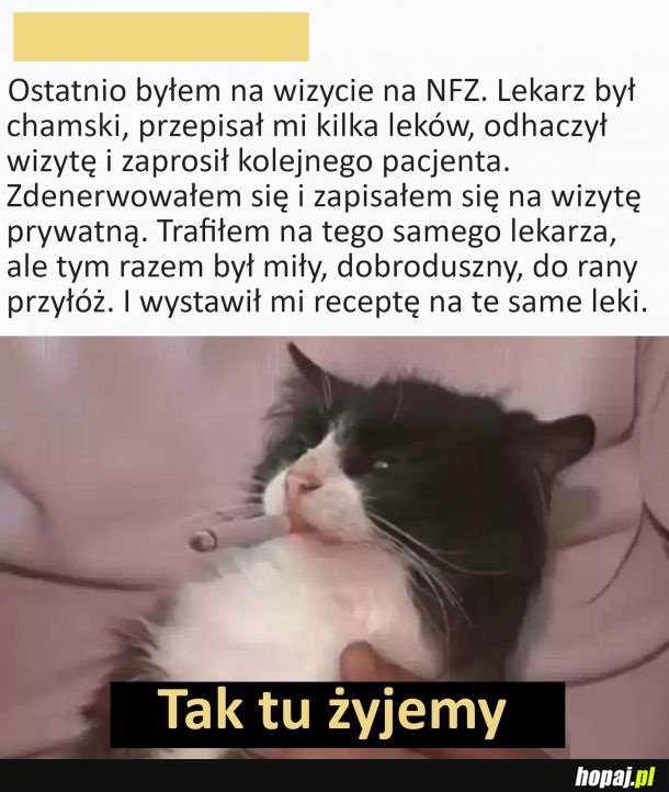 Wizyta na NFZ vs prywatna wizyta