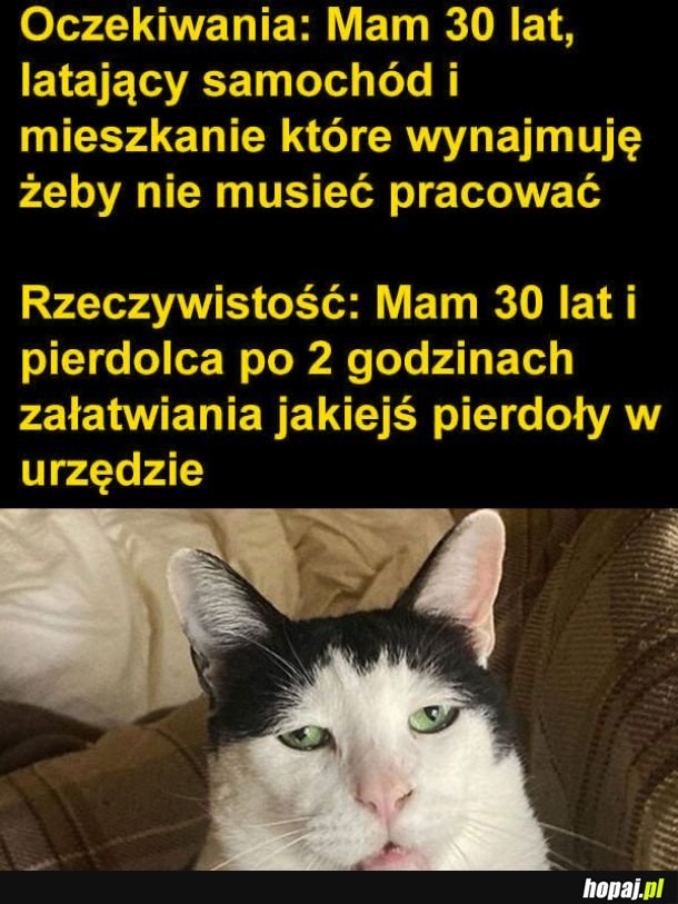 Nie tak miało być