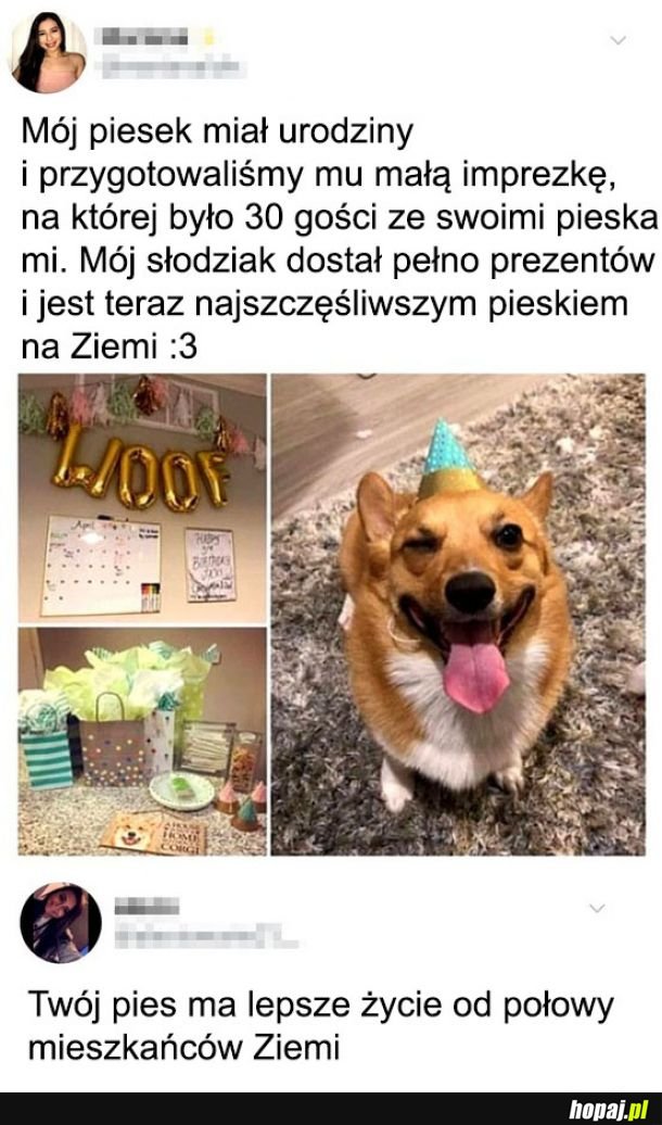  Smutna rzeczywistość