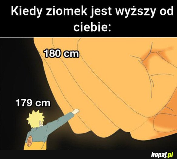 KIEDY ZIOMEK JEST WYŻSZY OD CIEBIE