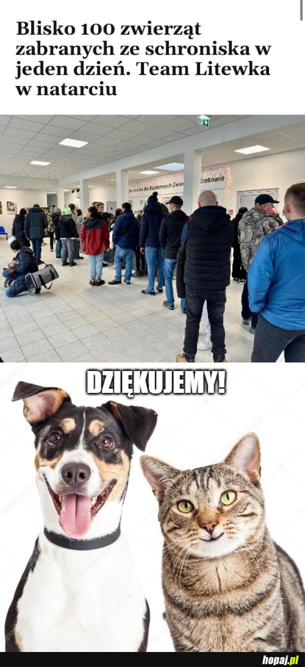 Świetna akcja!