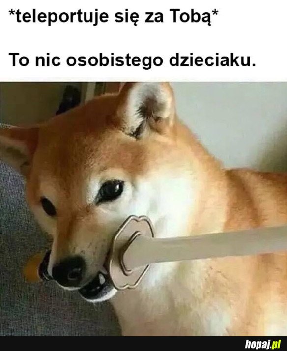 CO TEN PIESEŁ