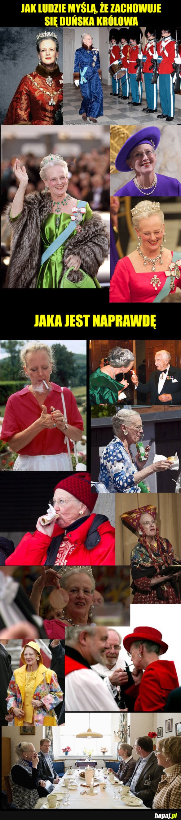 WYGLĄDA NA RÓWNĄ BABKĘ :D