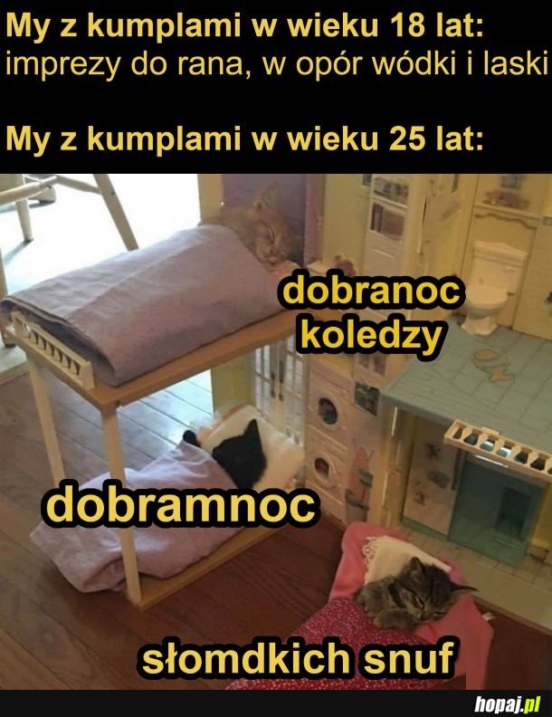 Gdzie ten młodzieńczy wigor