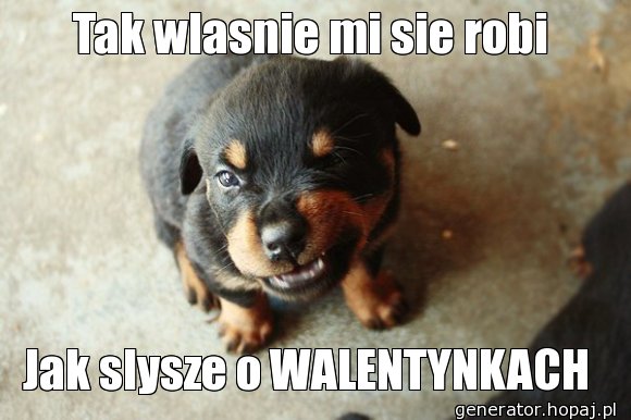 Tak wlasnie mi sie robi