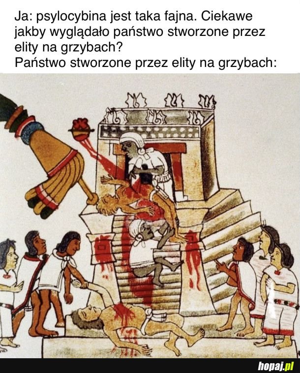 Psylocybina 