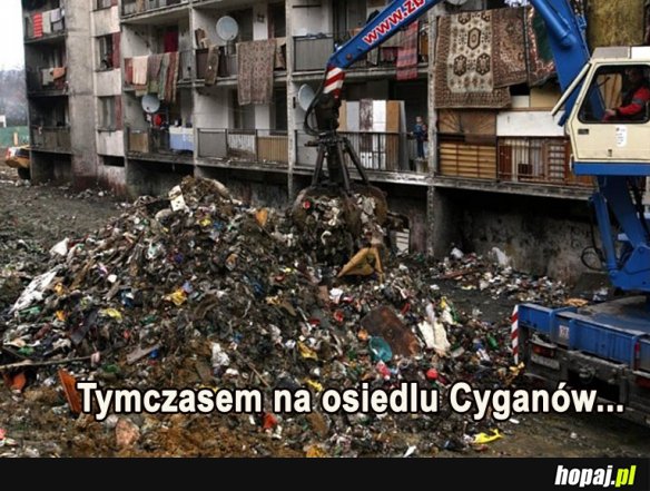 Tymczasem...