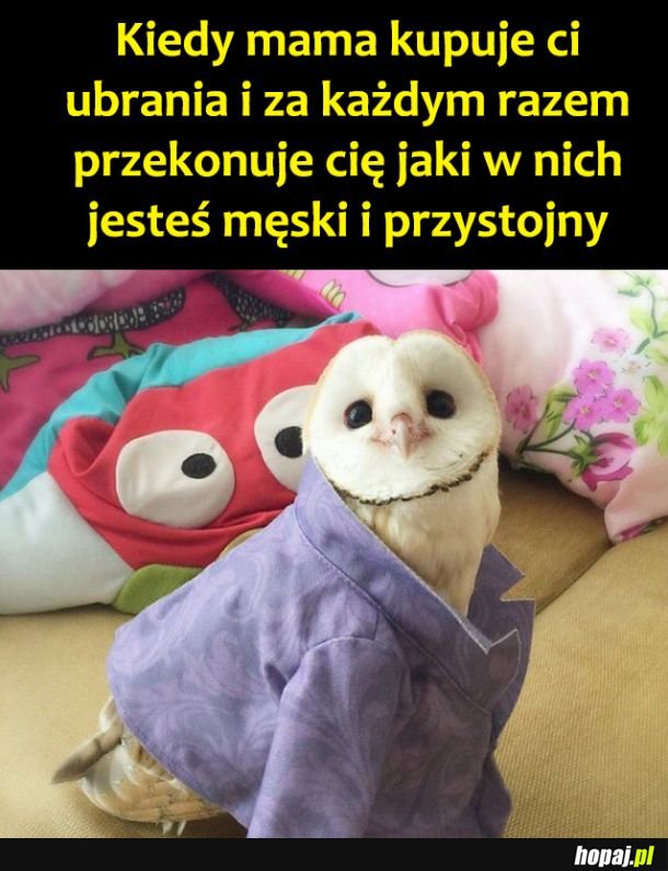 Dzięki mamo