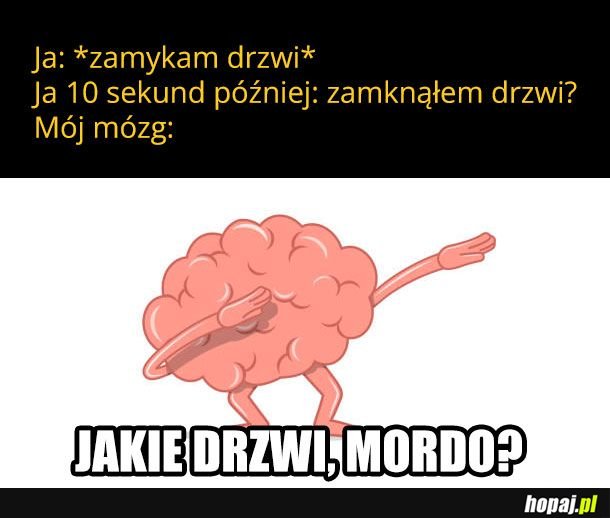 Już nic nie pamiętam