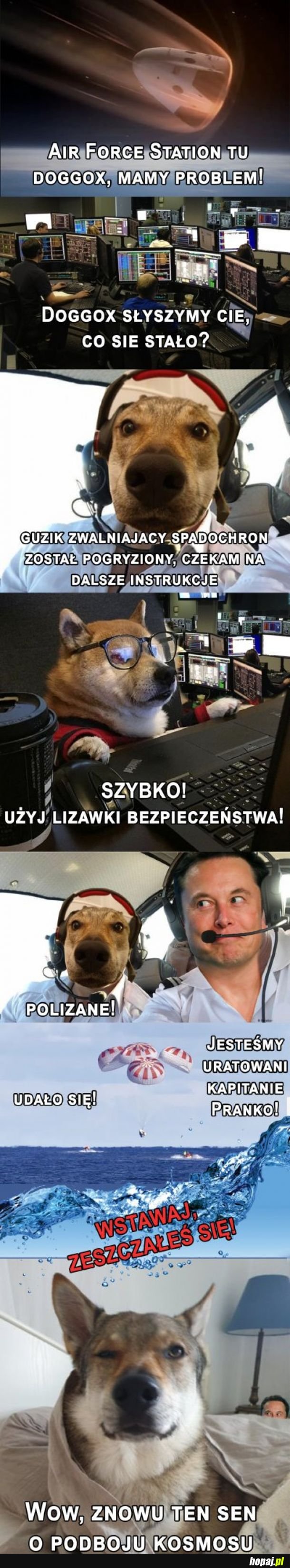Piesel wylądował.
