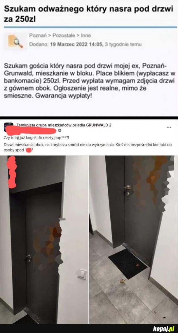 Czyli zlecenie zrealizowane?