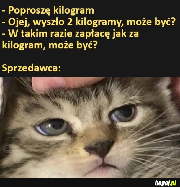 Zakupy