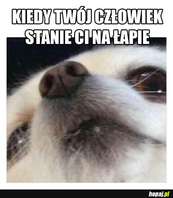 ZAPAMIĘTAM TĘ ZDRADĘ