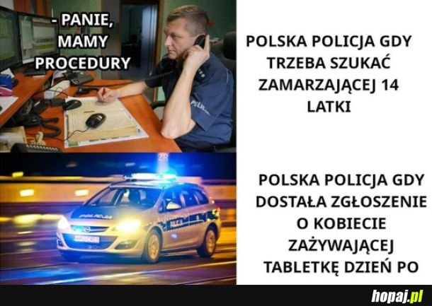 Policja w pigułce