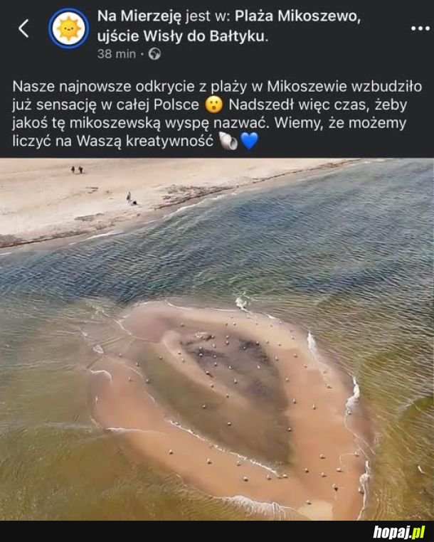 Jak nazwać?