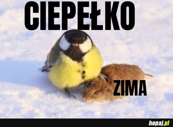 Ciepełko