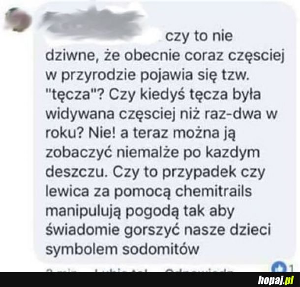 Czy to nie dziwne, że obecnie coraz częściej w przyrodzie pojawiają się tzw. debile?