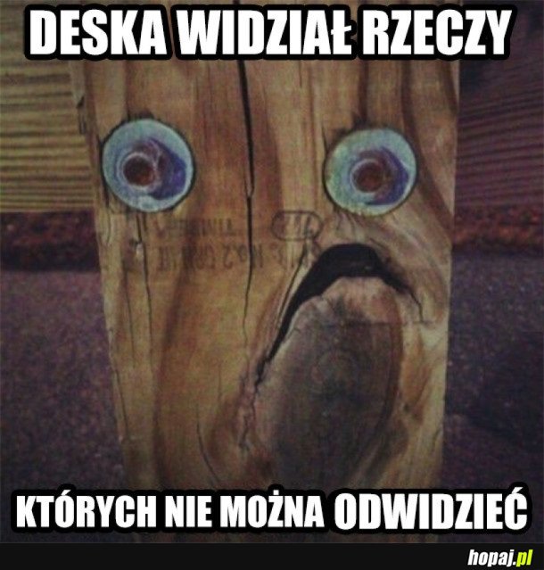 DESKA ZOBACZYŁ JAK WYGLĄDAJĄ AKTUALNE KRESKÓWKI