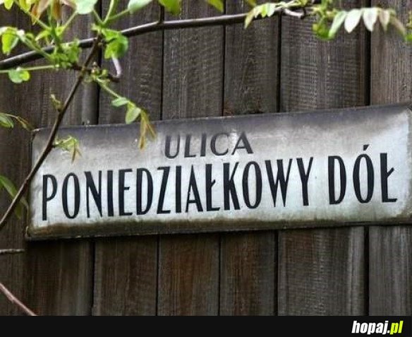 PONIEDZIAŁEK!