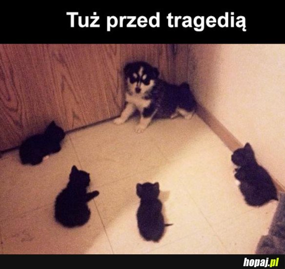 CHWILĘ PRZED ATAKIEM