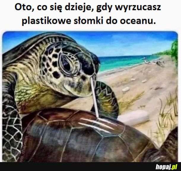 Mem ekologiczny