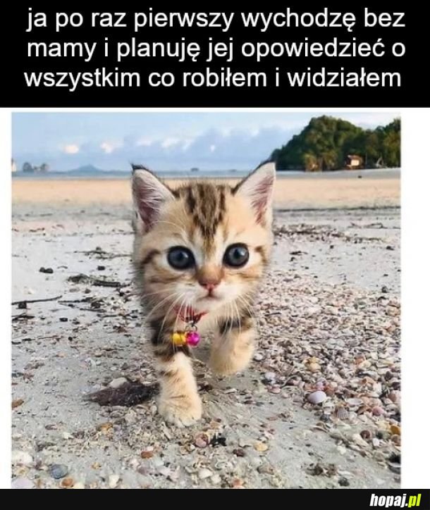 Mam 6 lat i mogę sam wyjść na dwór