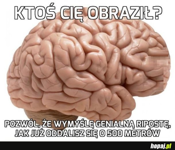 TYPOWY MÓZG