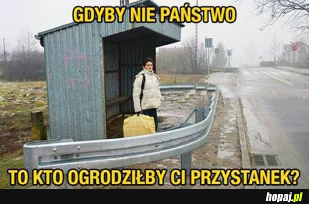 NO WŁAŚNIE!