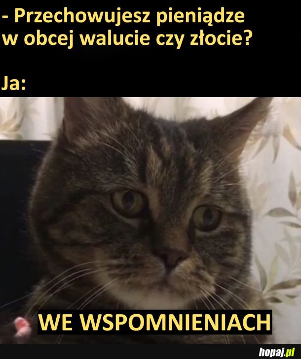 Jest jak jest