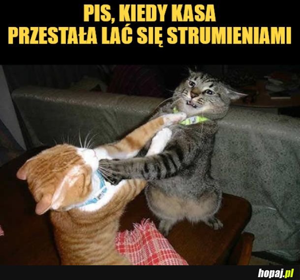 PiS.