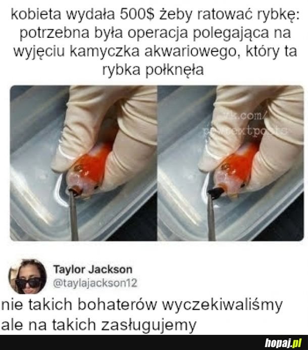 Medycyna złotej rybki