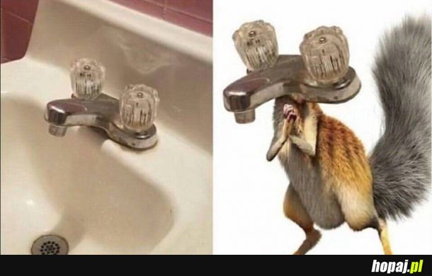 Scrat