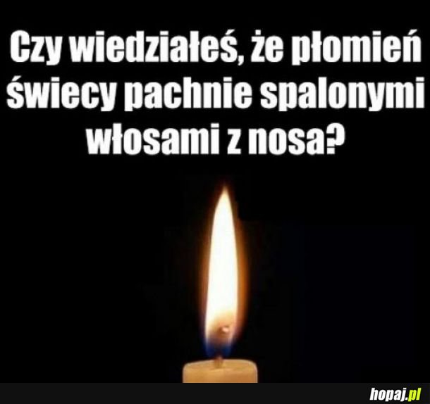The more you know.