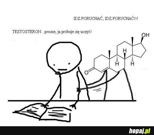 Testosteron...