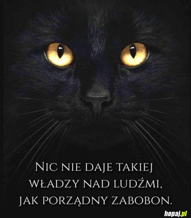 W istocie