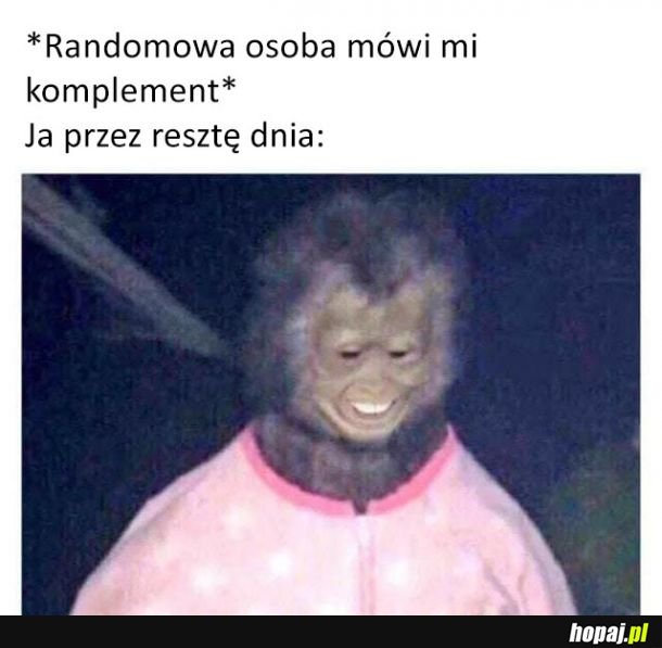 Zrobiłeś mi dzień!