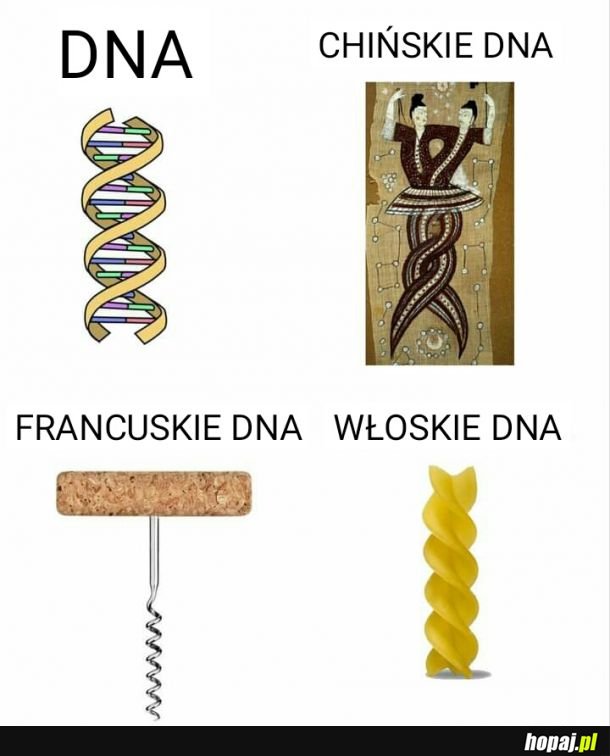 DNA