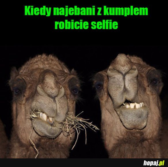 Selfie