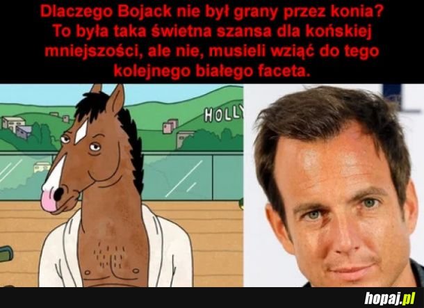 Koń