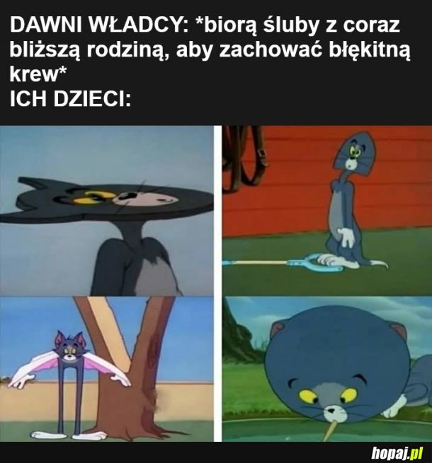 Tom zilustruje wszystko