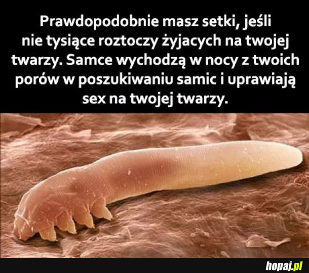 To przerażające!