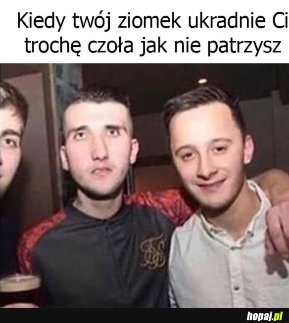 ZIOMEK UKRADŁ MU CZOŁO