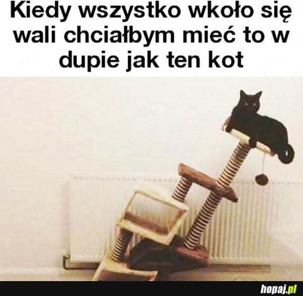 Wyj3b@ne