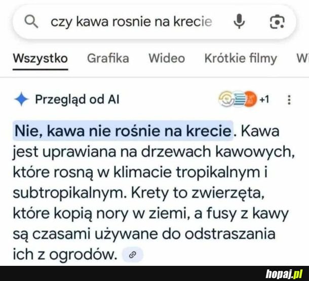 Na Kubie pewnie też nie rośnie, bo Kuba to przecież osoba